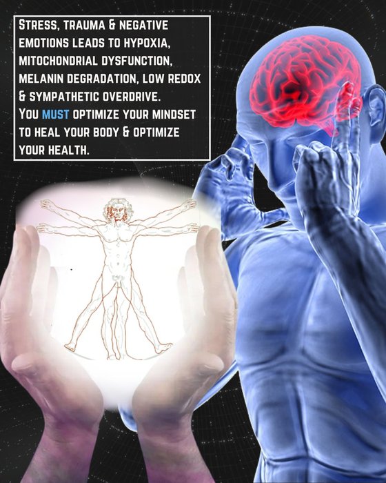 Thumbnail of www-x-com-jack-schroder-status-1915957187073171570-384457177ca3424e