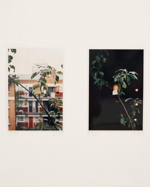 Thumbnail of p-cmghf2lkzmm-38c153f7407845a9 0