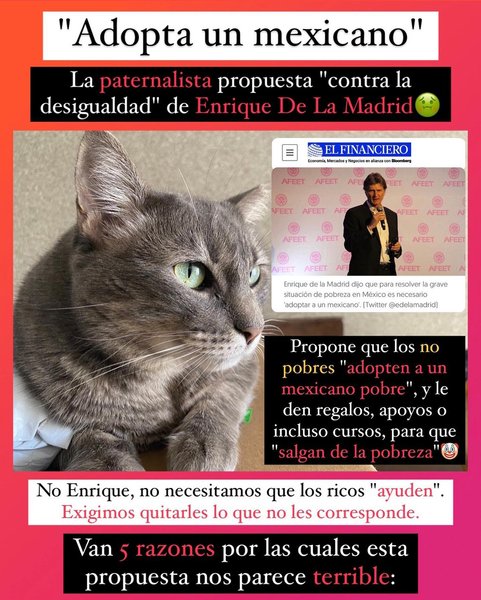 Thumbnail of p-clbko3losfc-38e65da6ca434bfe 0