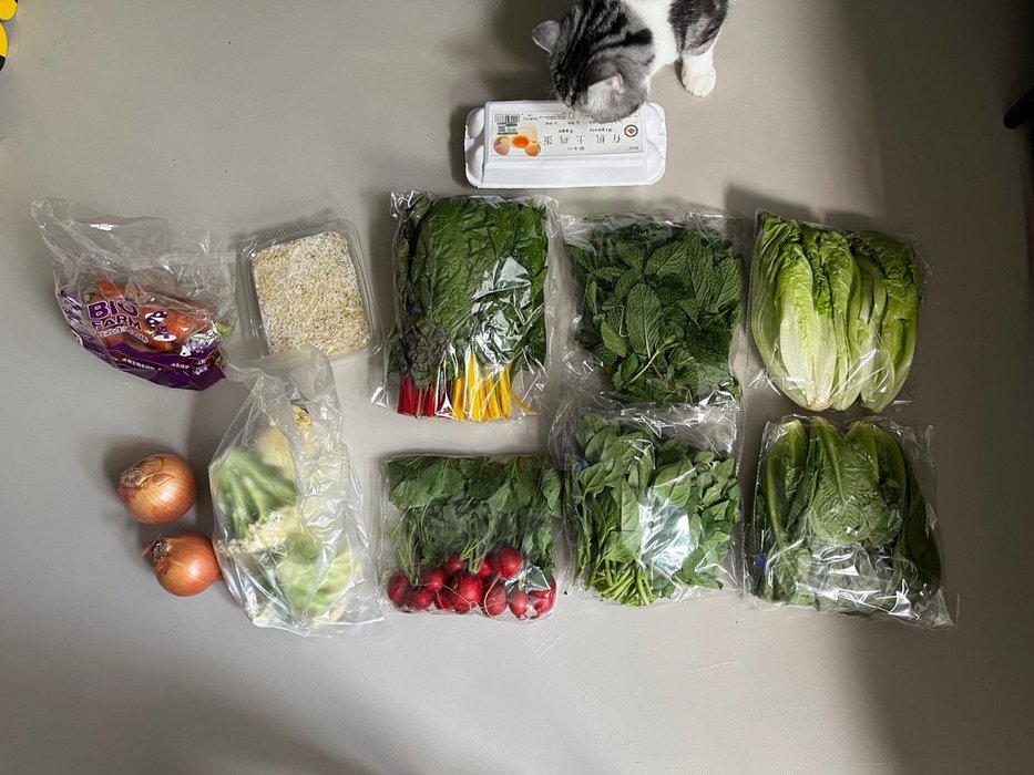 Thumbnail of www-x-com-palefire-status-1513777494452711425-38ee4db28c1e4eef