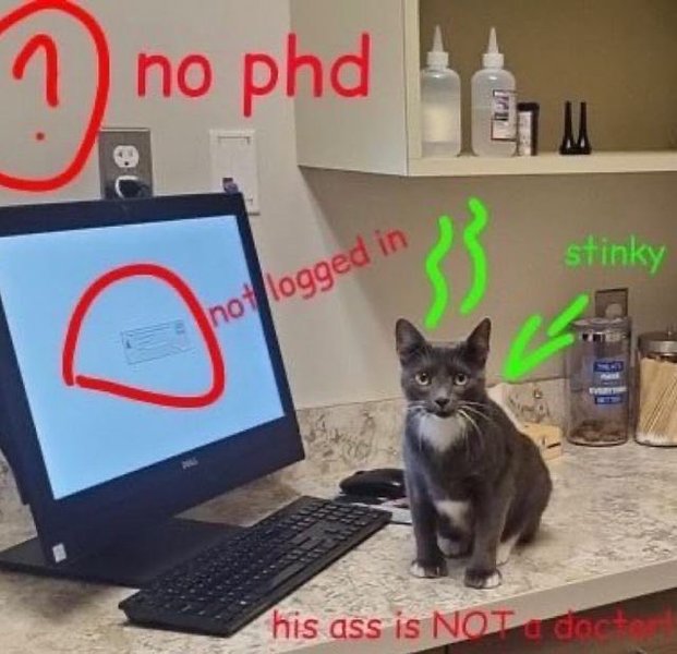 Thumbnail of p-cv45dmej7yk-390f66670dcf4802 0