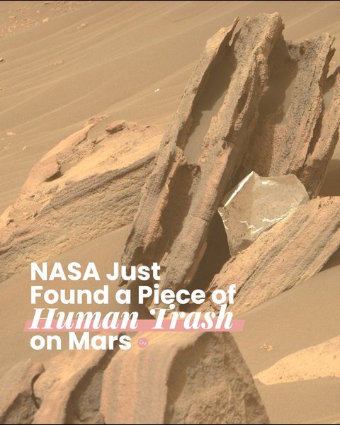 Thumbnail of p-cfl4jbrmllw-3918473009d946a4 0