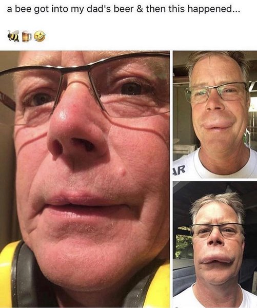 Thumbnail of p-bomdmhthspb-39338f2a0c664f7f 0