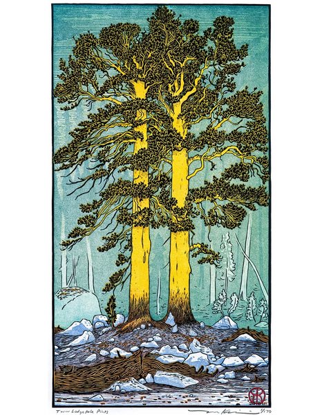 Thumbnail of www-instagram-com-p-dqjxzjpjs2f 1