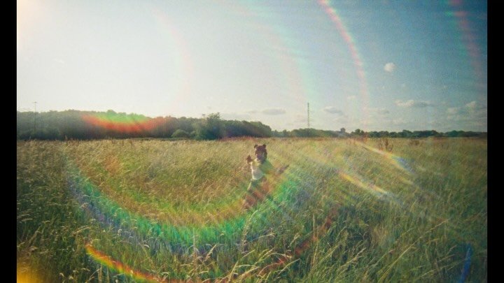 Thumbnail of dnfp-ium2at-396e60b51e34434f 0