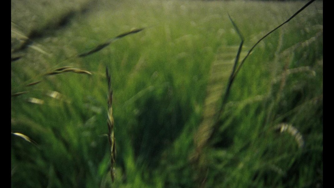 Thumbnail of dnfp-ium2at-396e60b51e34434f 9