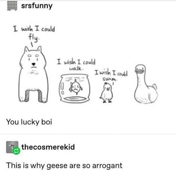 Thumbnail of byooat-lass-3973a2c8ce0d4eae 0