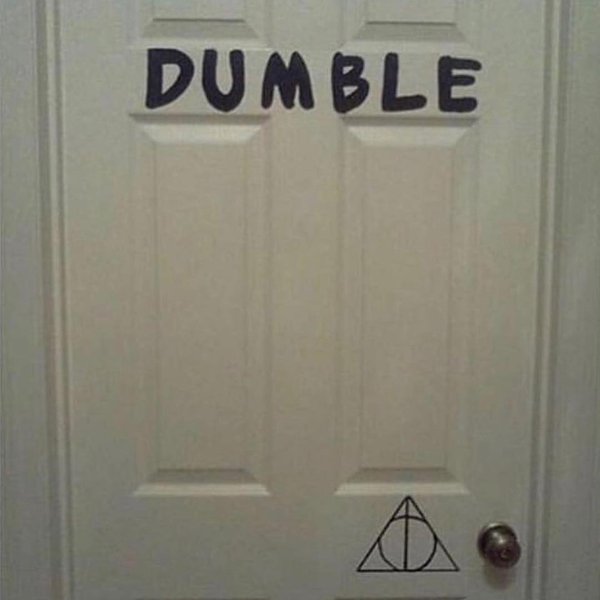 Thumbnail of p-brv5xciafdu-399db54a1ba64985 0