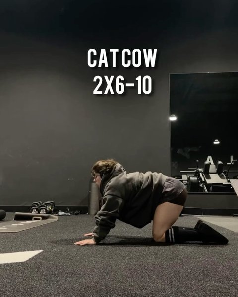 Thumbnail of p-c3ygcyaylbo-39c67aa456a0427d 7