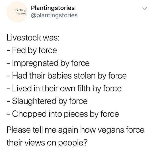 Thumbnail of p-bztftyli1cq-39f752b85ea04d53 0