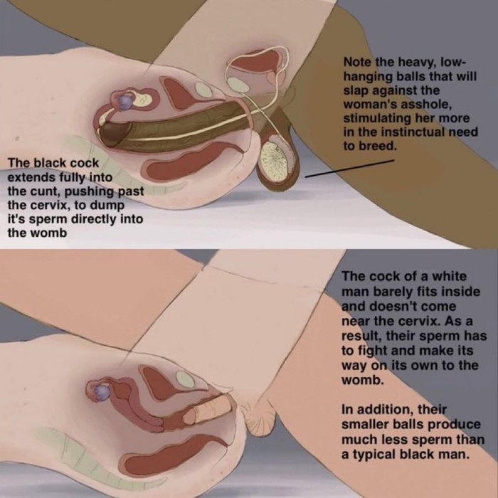 Thumbnail of www-x-com-bnwo2023-status-1853119898278367304-3a0a51bfdfbd4f25