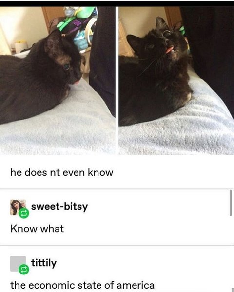 Thumbnail of p-b6ojaylfrpk-3a33ed3496954cf1 0