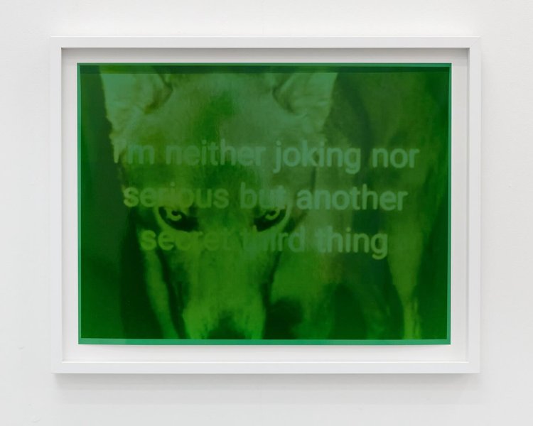 Thumbnail of p-dc1gpnbofvc-3a7c898ad51c4f50 0