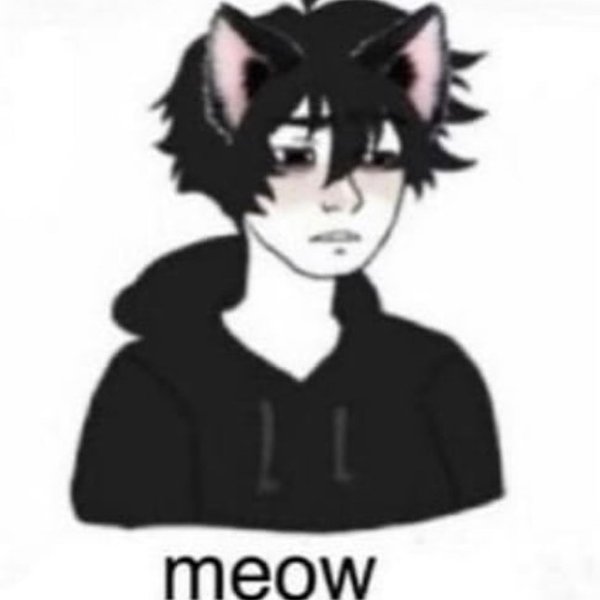 Thumbnail of p-chjn9f3l3wp-3a8de98547e9470b 1