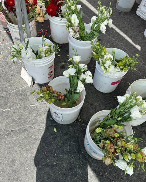 Thumbnail of p-cyrjqc9pxwa-3aa14dea18d044b1 1