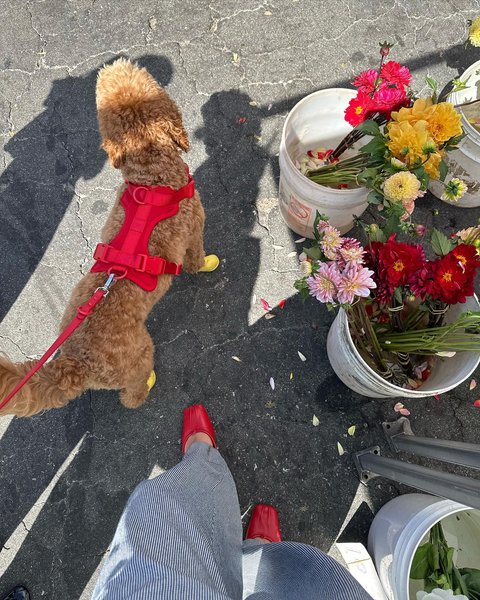 Thumbnail of p-cyrjqc9pxwa-3aa14dea18d044b1 2