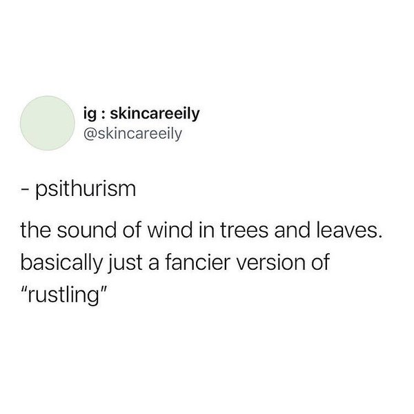 Thumbnail of p-cpyez5mhv8z-3abf32b73e454a41 5