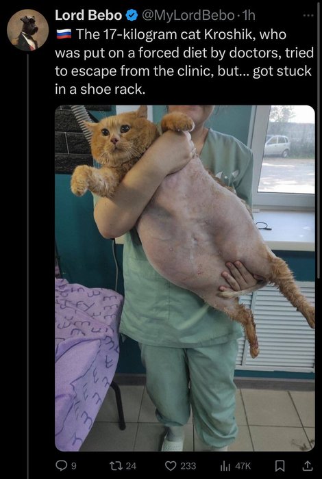 Thumbnail of www-x-com-stillgray-status-1834203392224157929-3acbe9d7f1b24a4e