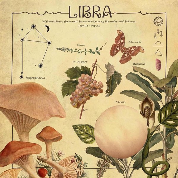 Thumbnail of p-cpa9mqgoidd-3accb4779fc94b44 0