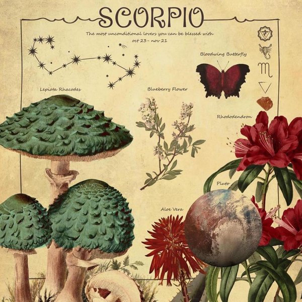 Thumbnail of p-cpa9mqgoidd-3accb4779fc94b44 1