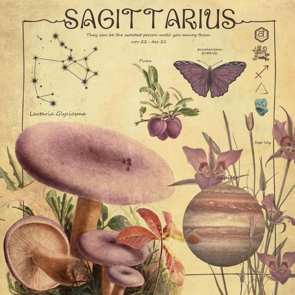 Thumbnail of p-cpa9mqgoidd-3accb4779fc94b44 2