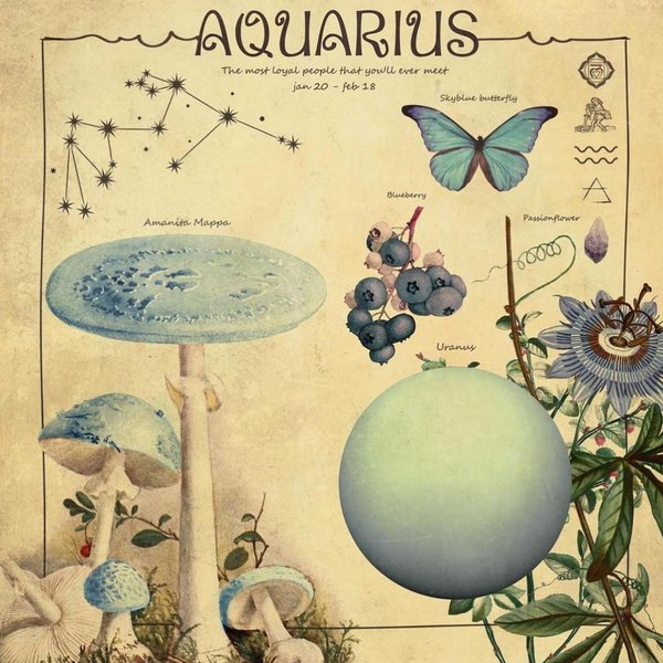 Thumbnail of p-cpa9mqgoidd-3accb4779fc94b44 4