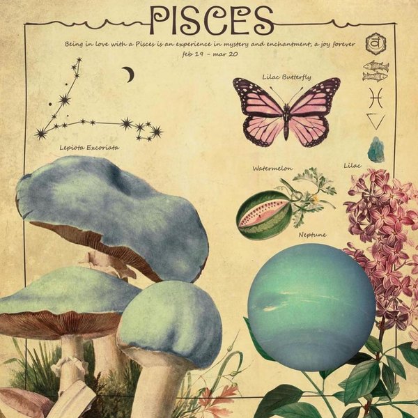 Thumbnail of p-cpa9mqgoidd-3accb4779fc94b44 5