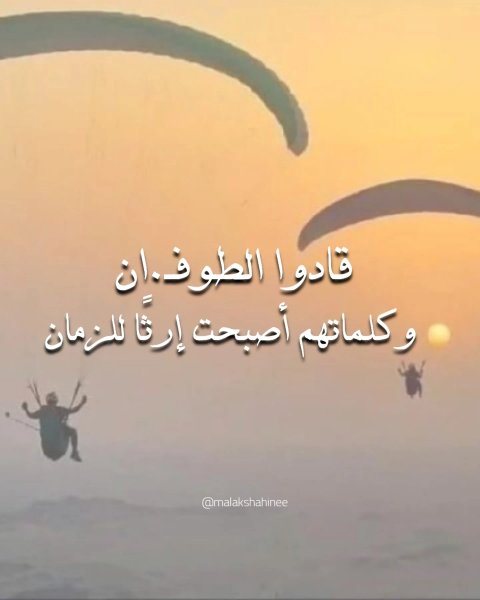 Thumbnail of p-dpggwicddj7-3ace45fa4ac9476d 0