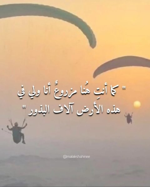 Thumbnail of p-dpggwicddj7-3ace45fa4ac9476d 1