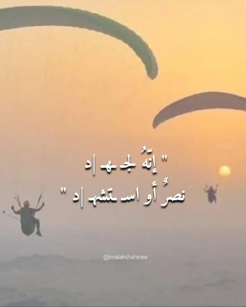 Thumbnail of p-dpggwicddj7-3ace45fa4ac9476d 3