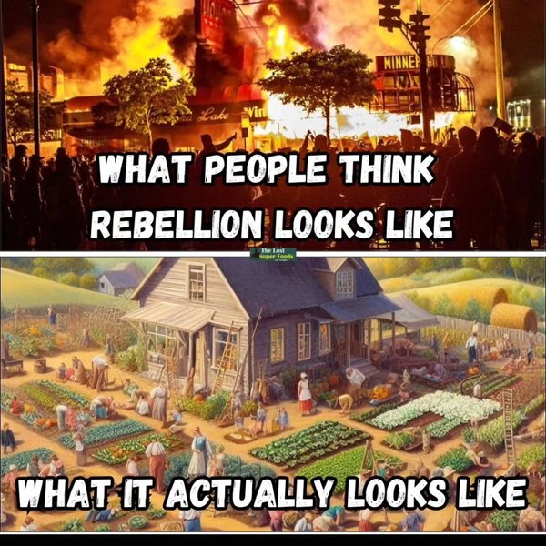 Thumbnail of p-czeztycoplj-3aec4bc5d4c440c1 2