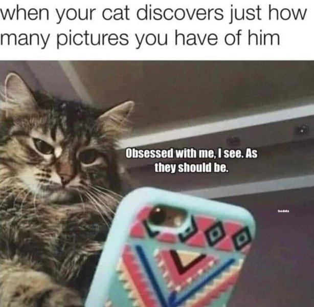 Thumbnail of xa2-tlmw-3aed21d9d7094143 0