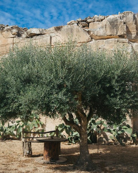 Thumbnail of p-dfd6bjyqu9c-3afd54056c6c478f 1