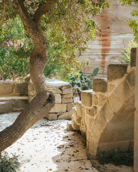 Thumbnail of p-dfd6bjyqu9c-3afd54056c6c478f 3