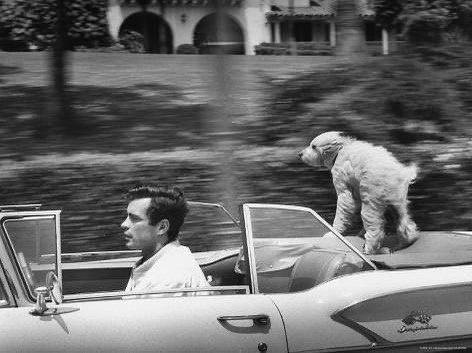 Thumbnail of p-ckw3hmfn6rt-3b20a8752a794bfd 0