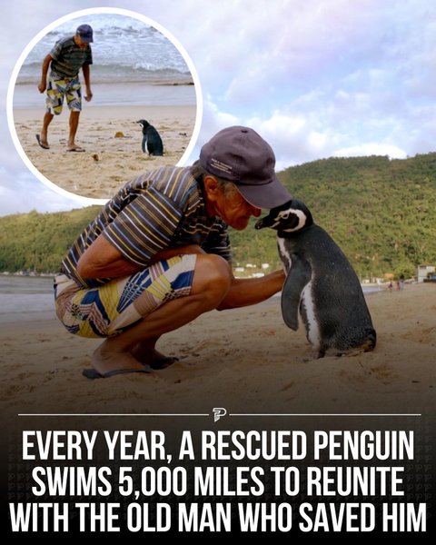 Thumbnail of p-cxn8g2krcqi-3b3dc5a492f74ffb 0