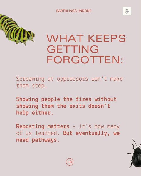 Thumbnail of instagram-3b5af2df764249eb 1