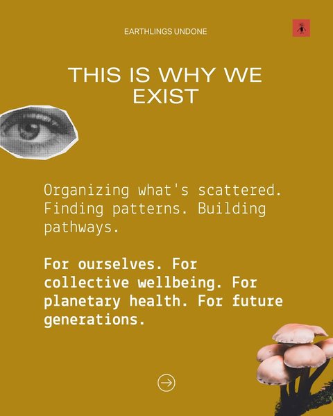 Thumbnail of instagram-3b5af2df764249eb 13