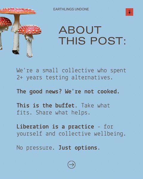 Thumbnail of instagram-3b5af2df764249eb 3