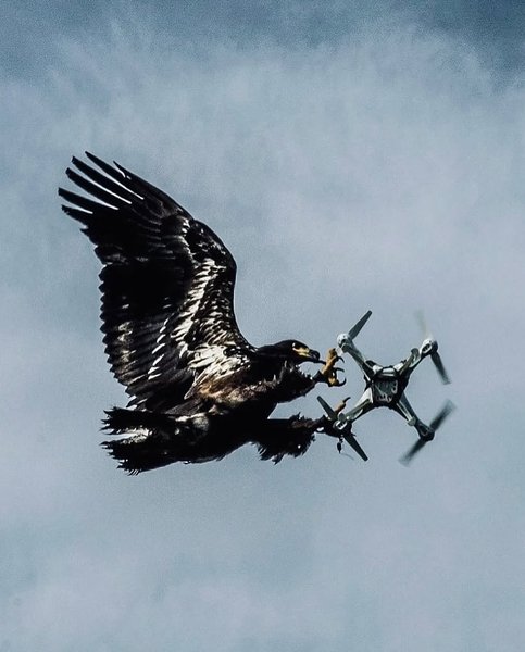 Thumbnail of www-instagram-com-p-dqrvbprdi71-img-index-12 3