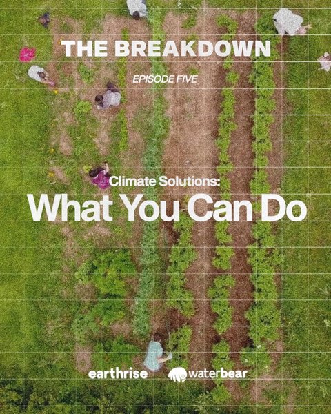 Thumbnail of p-cqswtrqmfpp-3b7aada6b52448b0 5