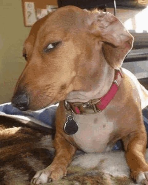 Thumbnail of p-c8998dnp3ld-3c77c1f8ac274f5b 1