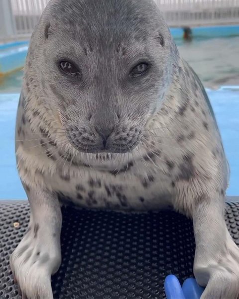 Thumbnail of p-c8998dnp3ld-3c77c1f8ac274f5b 2