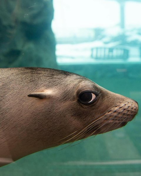 Thumbnail of p-c8998dnp3ld-3c77c1f8ac274f5b 3