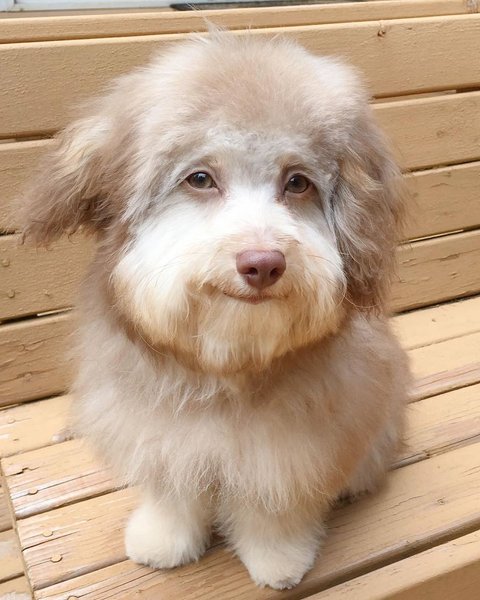 Thumbnail of p-c8998dnp3ld-3c77c1f8ac274f5b 4