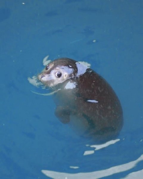 Thumbnail of p-c8998dnp3ld-3c77c1f8ac274f5b 5