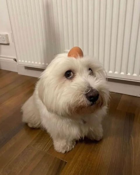 Thumbnail of p-c8998dnp3ld-3c77c1f8ac274f5b 6