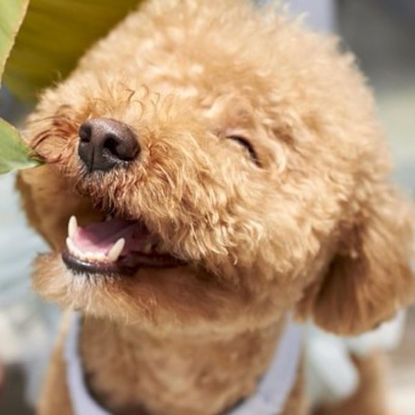 Thumbnail of p-bldz7b9ljd-3ca8f3f31f5f47fd 0