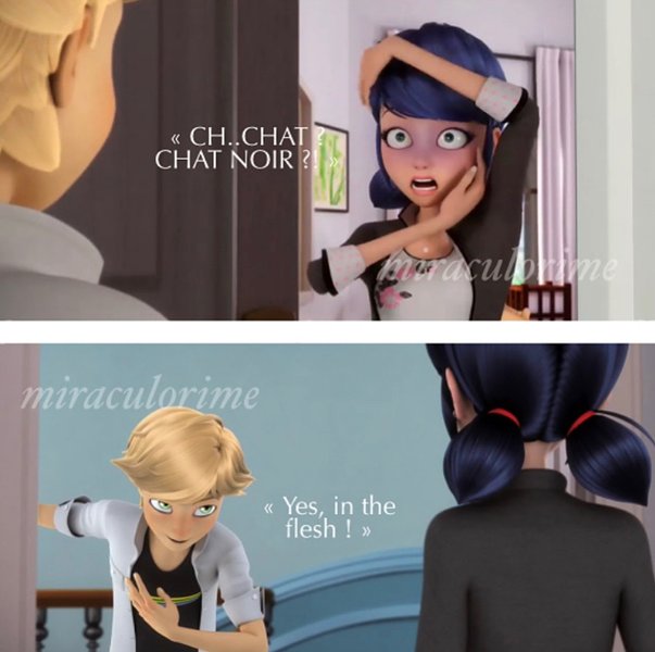 Thumbnail of bmg-pkhnzlz-3cfb046ea19d41a3 2