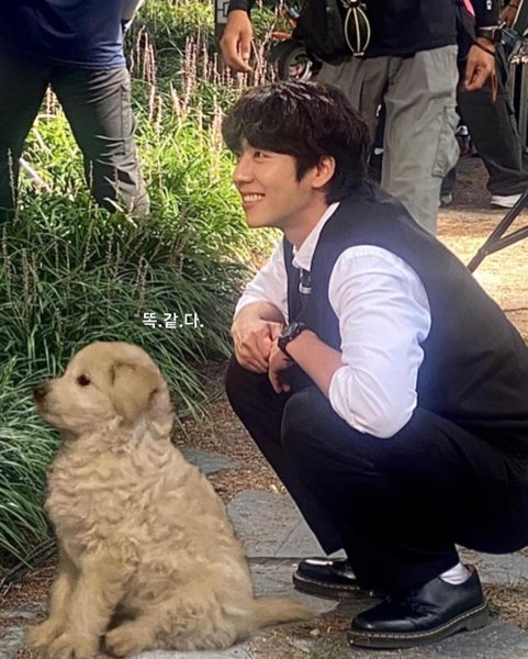 Thumbnail of c-txywwpll8-3cfc3c14ff5f4da2 1